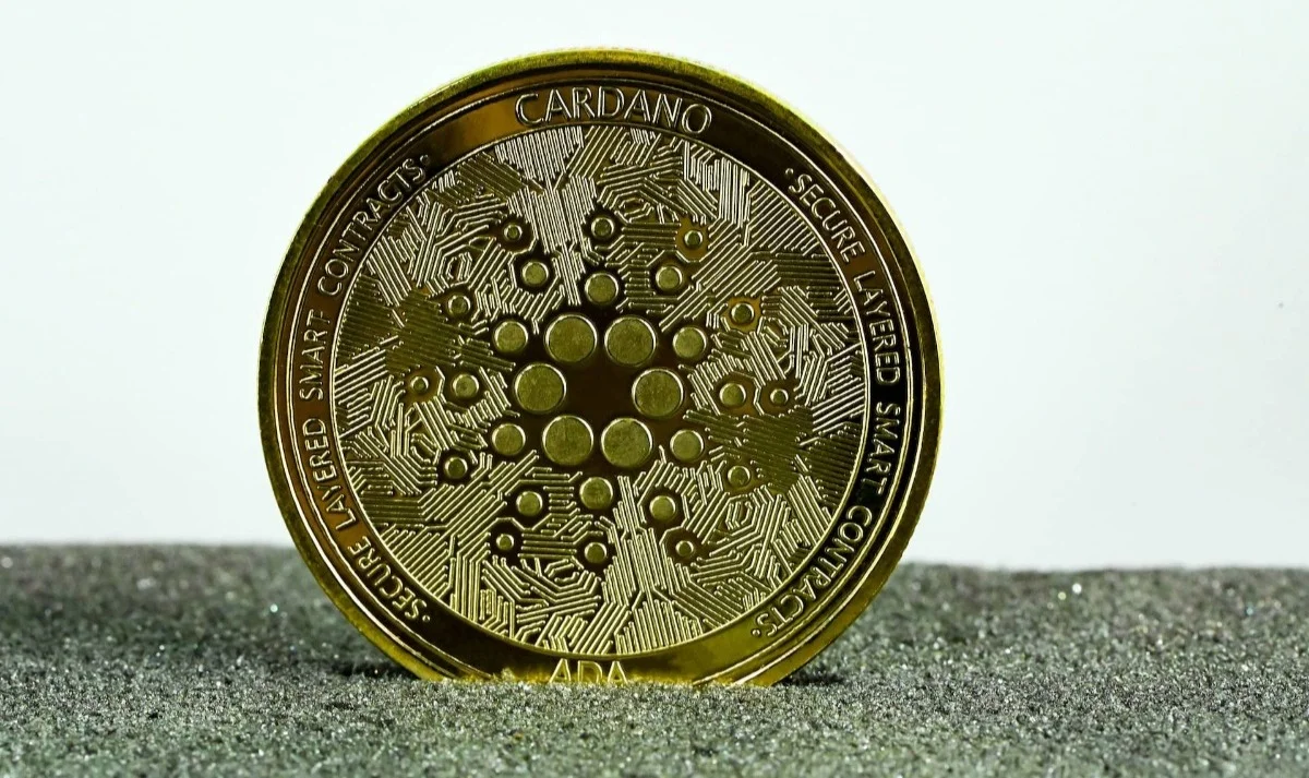 Cardano coin