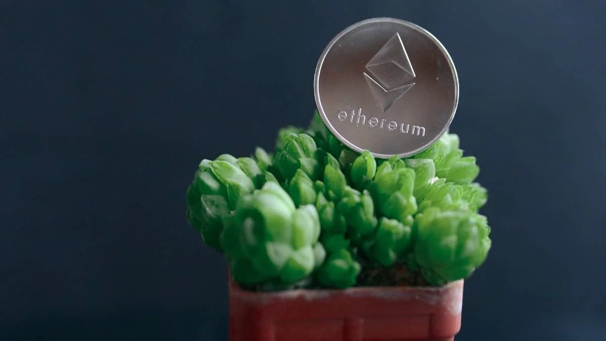 Ethereum coin and plant